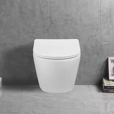 Cerutti SPA Sella Aria Tornado CT9529 безободковый, микролифт