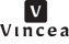 Vincea