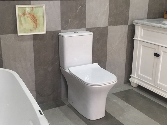 Ceruttispa Vettore CT7192