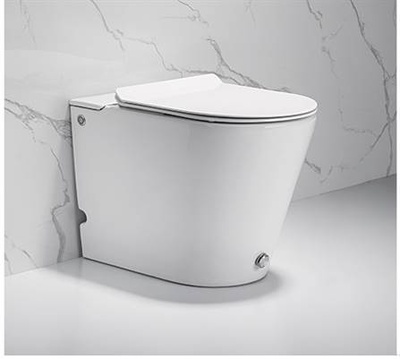 Ceruttispa Argentera Pulse CT7267 с функцией импульсного смыва
