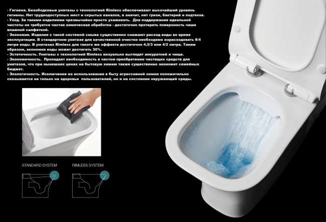 Ceruttispa Vettore CT7192