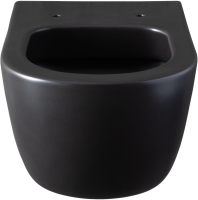 Allen Brau Priority 4.31001.31 черный матовый